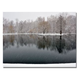Kurt Shaffer Snowy Pond Canvas Art   15590692  