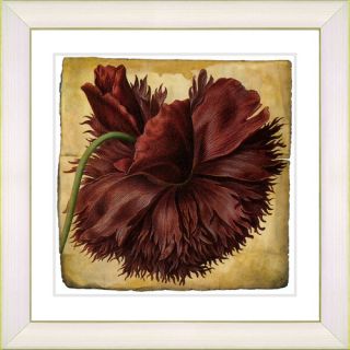 Vintage Botanical No. 51A by Zhee Singer Framed Giclee Print Fine Wall