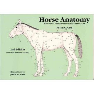 Horse Anatomy A Pictorial Approach to Equine Structure