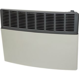 Ashley Hearth Products Direct Vent Wall Heater — 17,000 BTU, Natural Gas, Model# AGDV20N  Natural Gas Wall Heaters