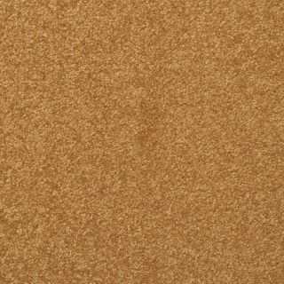 STAINMASTER Active Family Influential Nutmeg Textured Indoor Carpet