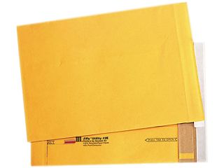 Sealed Air 15705 Utility Self Seal Mailer, Side Seam, #2E, 9 x 12, Golden Brown, 100/Carton