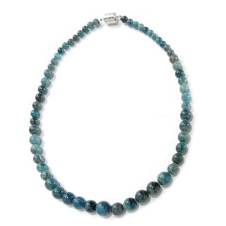 Sterling Silver Apetite Graduated Bead Necklace (20 inch)   16132656