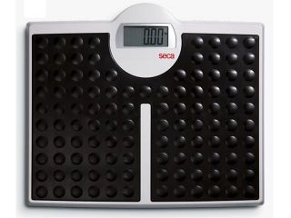 Seca 813 High Capacity Digital Flat Scale for Individual Patient Use