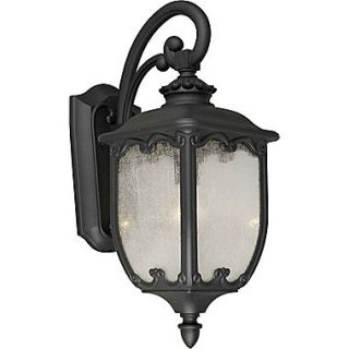 Aurora 22 3/4 x 9 1/2 100 W 1 Light Outdoor Lantern W/Clear Seeded Glass Shade, Black