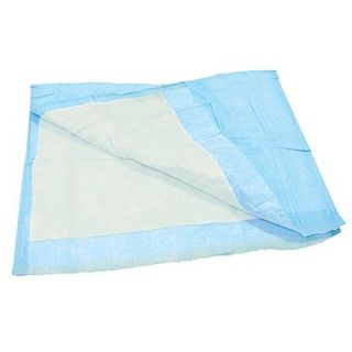 DMI 17 X 24 Extra Absorbent Disposable Underpads, Blue and White