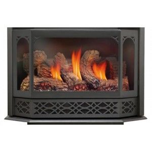 Napoleon GS350K Fireplace Door for GDS50 Gas Stoves   Painted Metallic Black