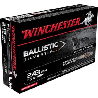 Winchester Ballistic Silver Tip Supreme Centerfire Ammo .243 Win 55 gr. 414818