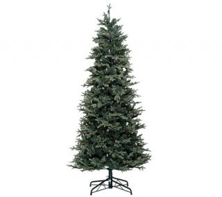 Bethlehem Lights 6.5 Slim Blue Spruce Christmas Tree —