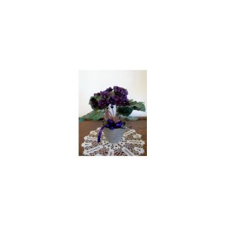 February Birth Month Flower African Violets Arrangement