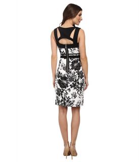 Adrianna Papell Geo Cutout Back Contrast Floral Scuba Dress