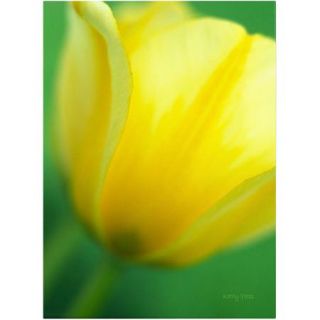 Trademark Fine Art "Hint of a Tulip" Canvas Art by Kathy Yates