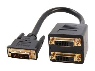 StarTech DVISPL1DD Black 1 ft. Connector A : DVI D Dual Link (male) Connector B : 2 x DVI D Dual Link (female) DVI D to 2 x DVI D Digital Video Splitter Cable   M/F