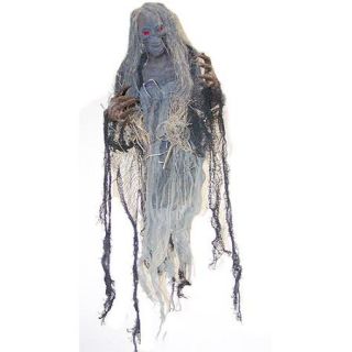 34" Hanging Prop with Hair Halloween Accessory