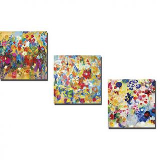 "Colorful Floral" by Joan Davis Stretched Canvas Art   Set of 3   7806036