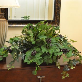 Grape Ivy Ledge Planter by Floral Home Decor