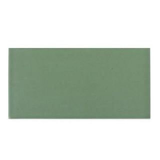 Splashback Tile Contempo Spa Green Frosted Glass Mosaic Floor and Wall Tile   3 in. x 6 in. x 8 mm Tile Sample L5B10