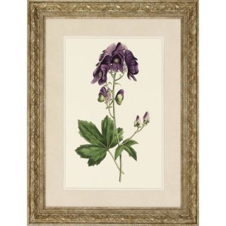 Lavender Florals 4 Piece Framed Graphic Art Set by Propac Images