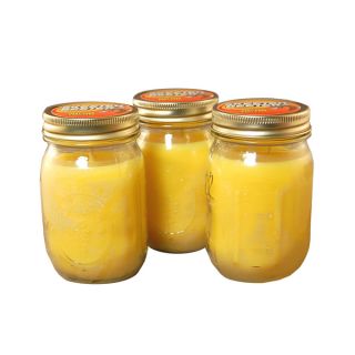 12 ounce Mason Jar Citronella Candles (Set of 3)