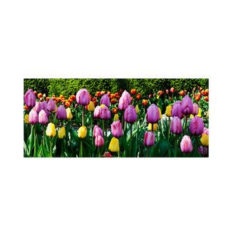 Kurt Shaffer Row of Tulips Canvas Art   Top