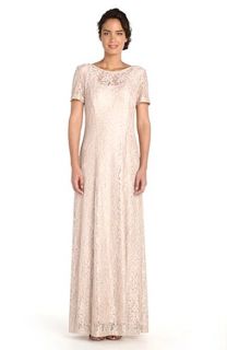 Alex Evenings Embroidered Mesh A Line Gown (Regular & Petite)