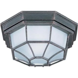 Die Cast Aluminum Frosted Shade EE 1 light Outdoor Ceiling Mount