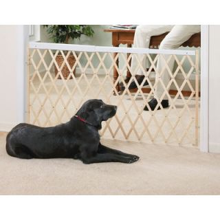 Evenflo Safety 60 Expansion Swing Gate