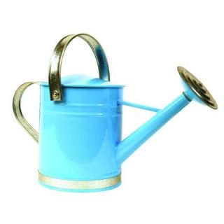 Arcadia Garden Products Basic 1 Gal. Blue Metal Watering Can WC08