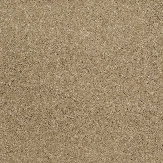 STAINMASTER TruSoft Luscious IV (S) Flax Textured Indoor Carpet