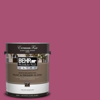 BEHR Premium Plus Ultra 1 gal. #110B 6 Cran Brook Flat Exterior Paint 485301