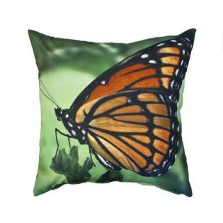 Divine Designs Brilliant Outdoor Throw Pillow