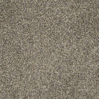 STAINMASTER TruSoft Private Oasis IV Dakota Textured Indoor Carpet