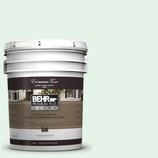 BEHR Premium Plus Ultra 5 gal. #450A 1 Crystal Gem Flat Exterior Paint 485005