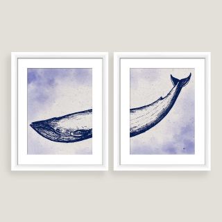 Framed Whale Wall Art Set of Two