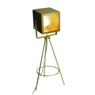 Yosemite Home Decor Portable Lamps Series 49 in. Brass Plated Floor Lamp PFL2328 1BP