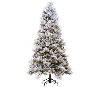 Hallmark 6.5 Sugared Spruce Tree with Quick Set Technology —
