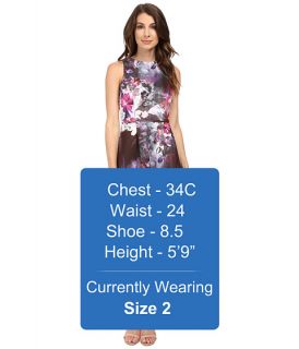 Adrianna Papell Placed Print Fit & Flare Scuba Dress Pink Multi