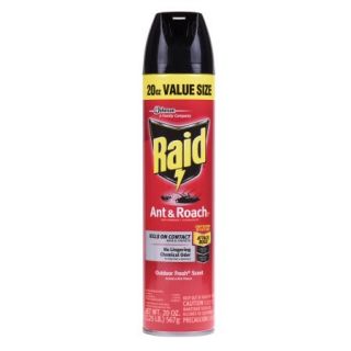 Raid Ant & Roach Killer Outdoor Fresh Scent 20 Ounces