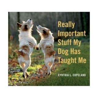 Really Important Stuff My Dog Has Taught Me (Paperback)