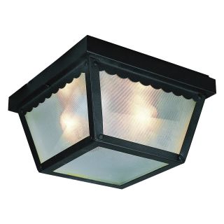 Trans Globe 4901/4902 Outdoor Flushmount Light   Outdoor Ceiling Lights