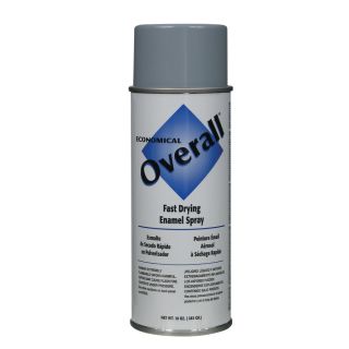Rust Oleum Overall Light Gray Fade Resistant Enamel Spray Paint (Actual Net Contents 10 oz)