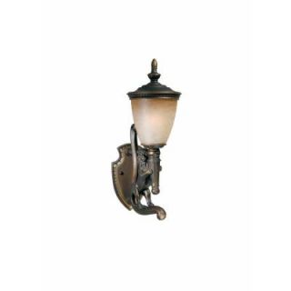 Illumine 1 Light Outdoor Wall Mount Weathered Bronze Finish Cognac Antiqued Glass CLI TR7523014R