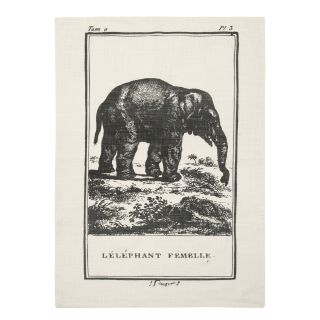 Thomas Paul Vintage Engravings Elephant Clingancourt Tea Towel