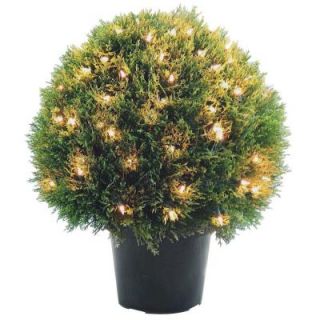 National Tree Company 24 in. Cedar Pine Topiary with Round Green Growers Pot with 100 Clear Lights LCPT4 304 24