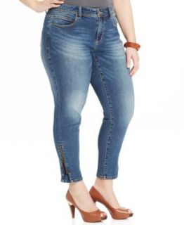 American Rag Plus Size Ankle Zip Skinny Leg Jeans, Gabrielle Wash